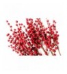 CraftMore Set Red Berry Picks