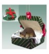 Beaver Gift Box Christmas Ornament
