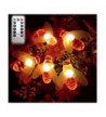 Dreamworth Battery Operated Decoration Control