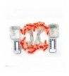 Designer Indoor String Lights Clearance Sale