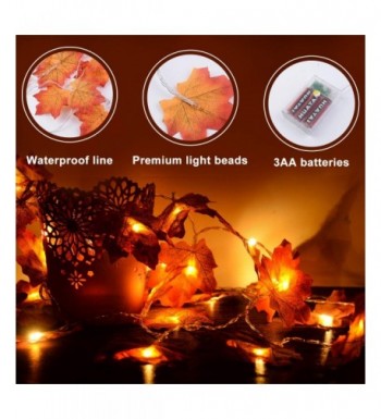 Fashion Indoor String Lights