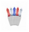 Holiday Lighting Outlet 70 Count Patriotic