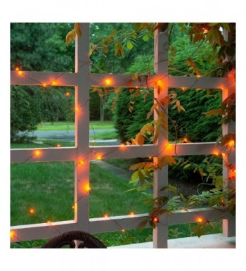 Latest Indoor String Lights Online