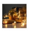 Trendy Seasonal Lighting Wholesale