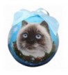 Himalayan Cat Christmas Ornament Personalize