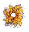 Worth Imports Wild Fall Wreath