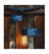 Cheap Designer Outdoor String Lights