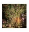 Outdoor String Lights Outlet Online