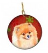 Carolines Treasures LH9350 CO1 Pomeranian Multicolor