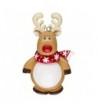 Reindeer Character Personalized Christmas Ornament