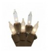 Vickerman Count Light Brown Frosted