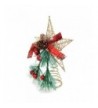 BG Festive Holiday Mistletoe Christmas