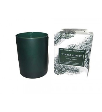 Williams Sonoma Essential Candle Winter Forest