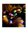 Latest Indoor String Lights for Sale