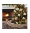 PartyTalk Christmas Snowflake Decorations Ornament