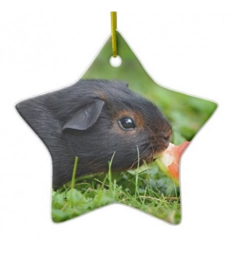 Guinea DoubleSided Ceramic Christmas Ornament