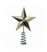 Miniature Fairy Garden Star Topper