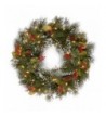 National Tree Wintry Wreath WP1 300 24W 1
