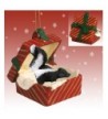 Skunk Red Gift Christmas Ornament