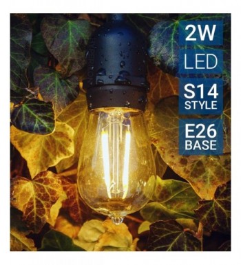 Designer Seasonal Lighting Clearance Sale