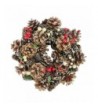 Northlight Cones Berries Christmas Wreath