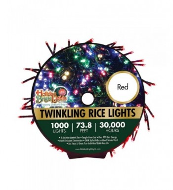 Holiday Bright Lights Christmas Decoration