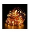 Led String Lights TechRise Decoration