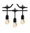 Classyke Outdoor Dimmable Weatherproof Commercial