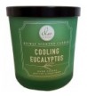 DW Decoware Scented Cooling Eucalyptus