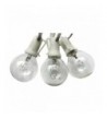 Globe string light 50ft white