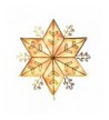 YUNLIGHTS Christmas Glittered Snowflake Decorations