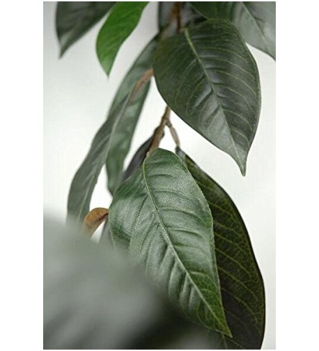 Natural Touch Magnolia Garland Leaves