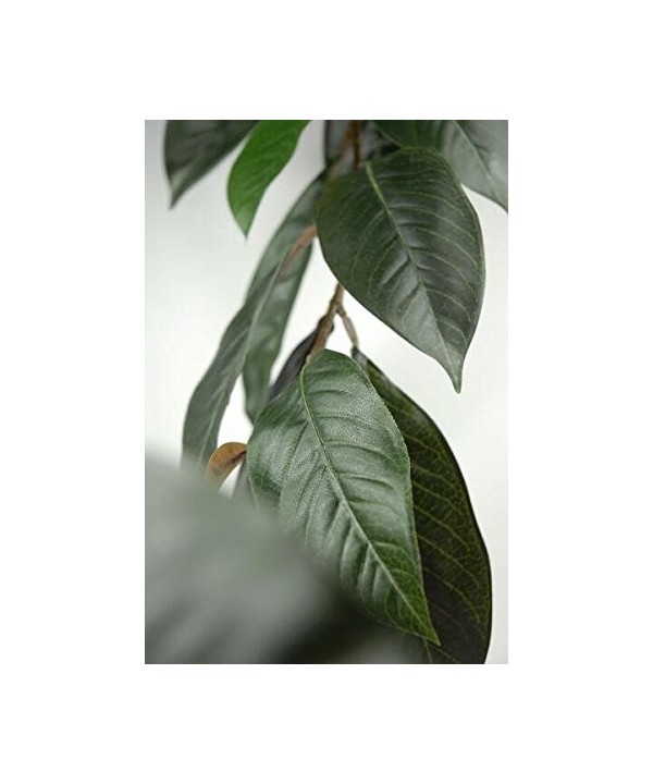 Natural Touch Magnolia Garland Leaves