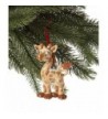 Giraffe Personalized Christmas Tree Ornament