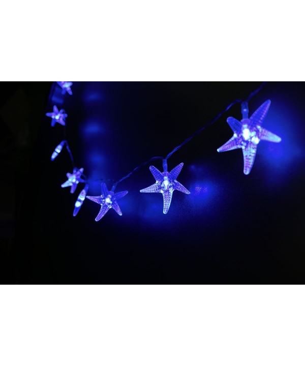 Mini Skater Starfish Decorative Decorations
