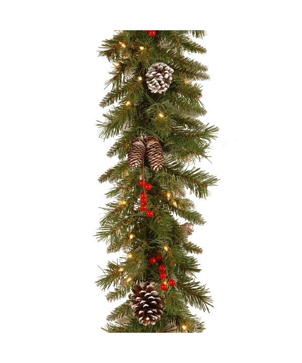 National Tree Frosted Garland FRB 9GLO 1