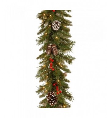 National Tree Frosted Garland FRB 9GLO 1