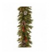 National Tree Frosted Garland FRB 9GLO 1