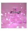Trendy Seasonal Lighting Online