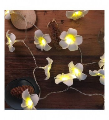 Trendy Indoor String Lights Clearance Sale