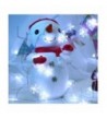 Seasonal Lighting for Sale