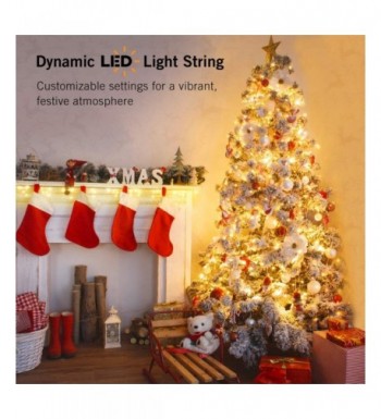 Brands Indoor String Lights