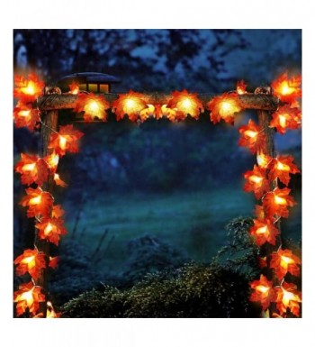 Trendy Seasonal Lighting Wholesale