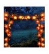 Trendy Seasonal Lighting Wholesale