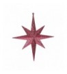 Vickerman Fuchsia Glitter Bethlehem Star