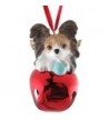 StealStreet SS D BL017 Christmas Papillon Ornament