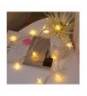 Latest Indoor String Lights On Sale