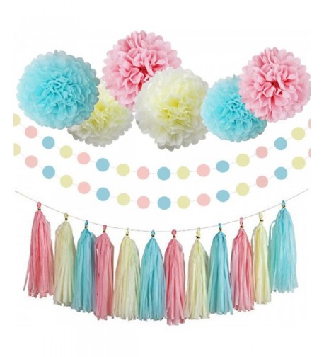 Gender Reveal Supplies Decorations Garland