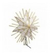 Kurt Adler 7 Point Natural Lighted