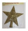 8 25 Christmas Star Treetop Decoration